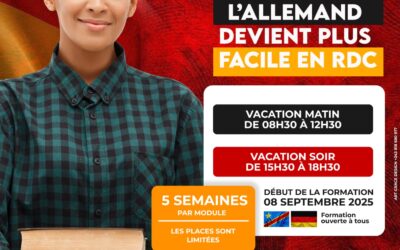 Apprendre l’allemand en ligne : comment ça marche chez nous ?